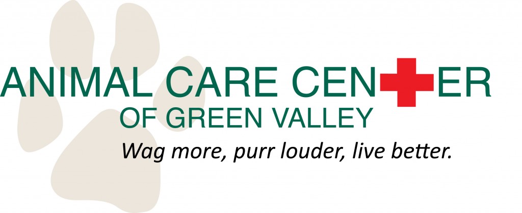 Welcome To Southern Arizona Veterinarians Green Valley Az Animal Care Center Of Green Valley