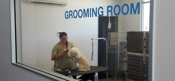 Grooming Allpets Caboolture District Animal Hospital