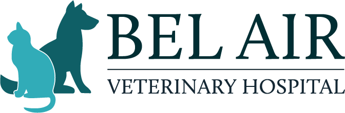 bel air pet clinic