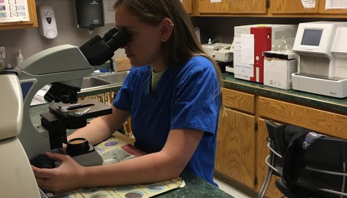 Technician Ashley Running Tests In The Laboratory