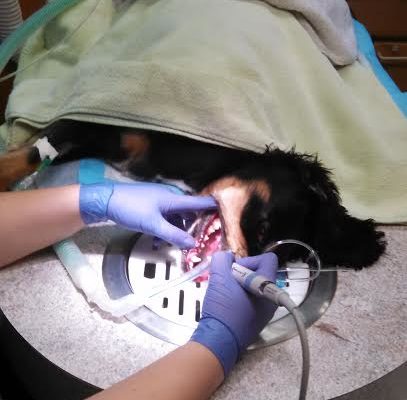 Technician working on a patient having a dental procedure.