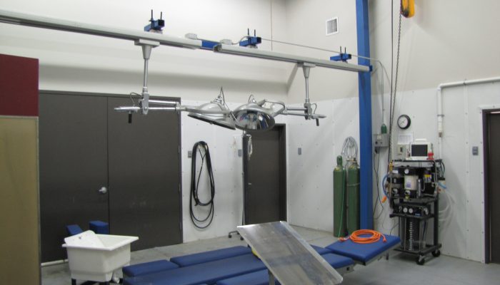 Equine Surgery Room