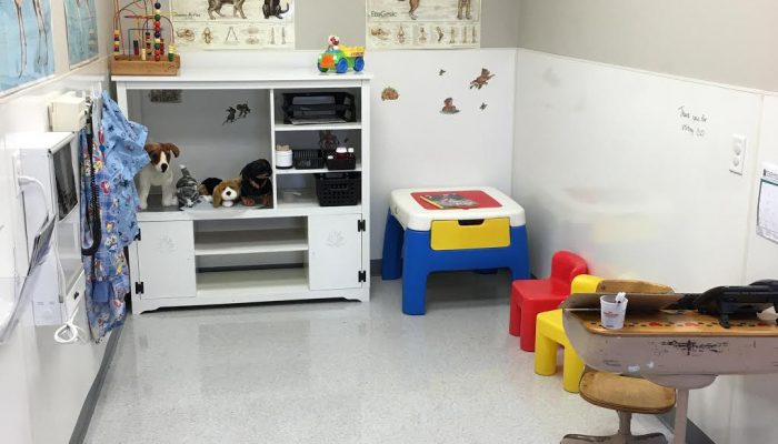 Kids veterinary play area.