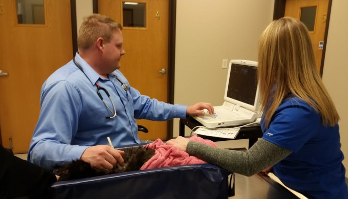 Dr. Bjerke and Technician Lacey performing an abdominal ultrasound.