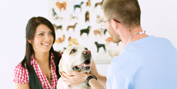 Veterinary Clinic Chelsea