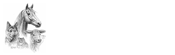Colville Animal Hospital