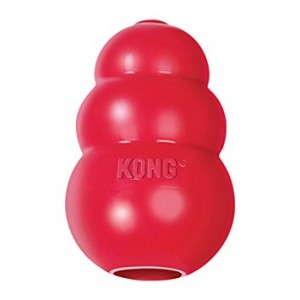 kong dog toy