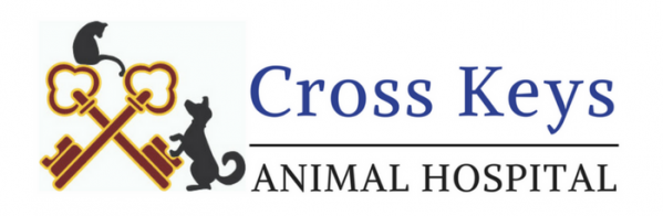 Logo for Cross Keys Animal Hospital | Veterinarians in Williamstown