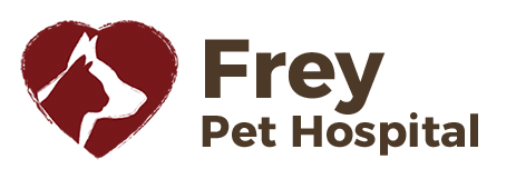 Veterinarians Cedar Rapids, IA | Frey Pet Hospital – Veterinarians Cedar  Rapids, IA | Frey Pet Hospital