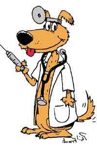 Dog & Cat Vaccinations | Veterinarians Gisborne | Gisborne Veterinary