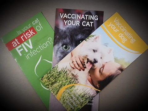 Dog cat vaccinations Veterinarians Gisborne Gisborne