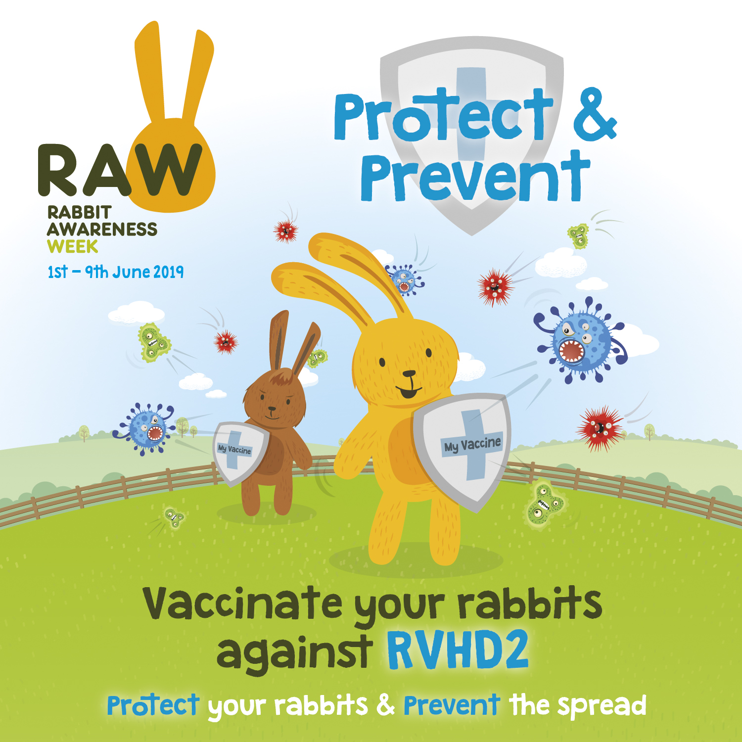 Rabbit Awareness Week the importance of vaccination Greenbay Vets