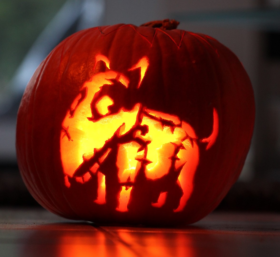 Halloween – tips for pet owners – Greenbay Vets