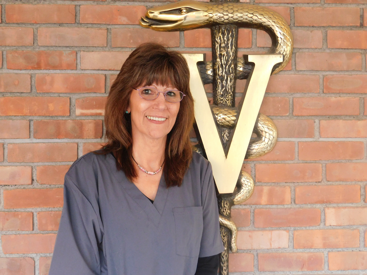 Dawn Silvestri, Veterinary Assistant