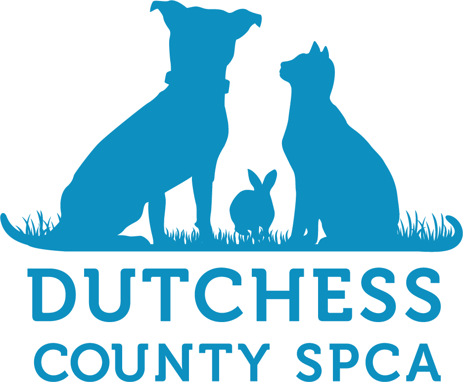 DCSPCA