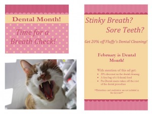 Dental Month 2016