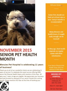 NOVEMBER SENIOR PET MONTH FLYER