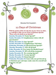 revised 12 days of christmas specials