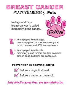 Pink Paws Breast Cancer Awareness Month Veterinarians In Huntsville Tx Moore Veterinary Clinic