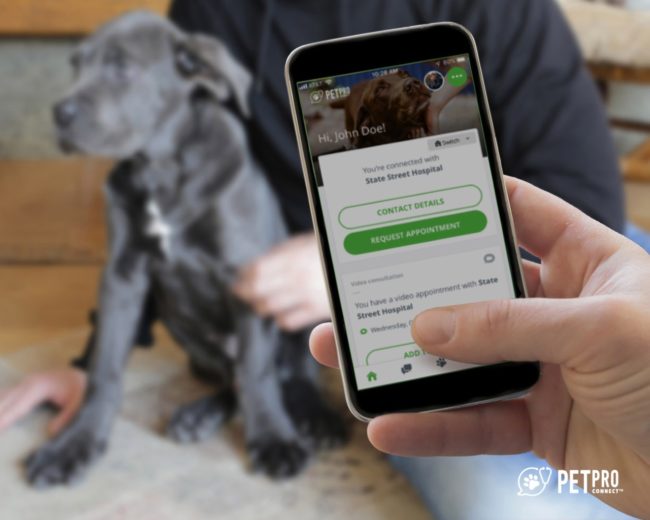 Pet Pro Connect – Veterinarians New Orleans