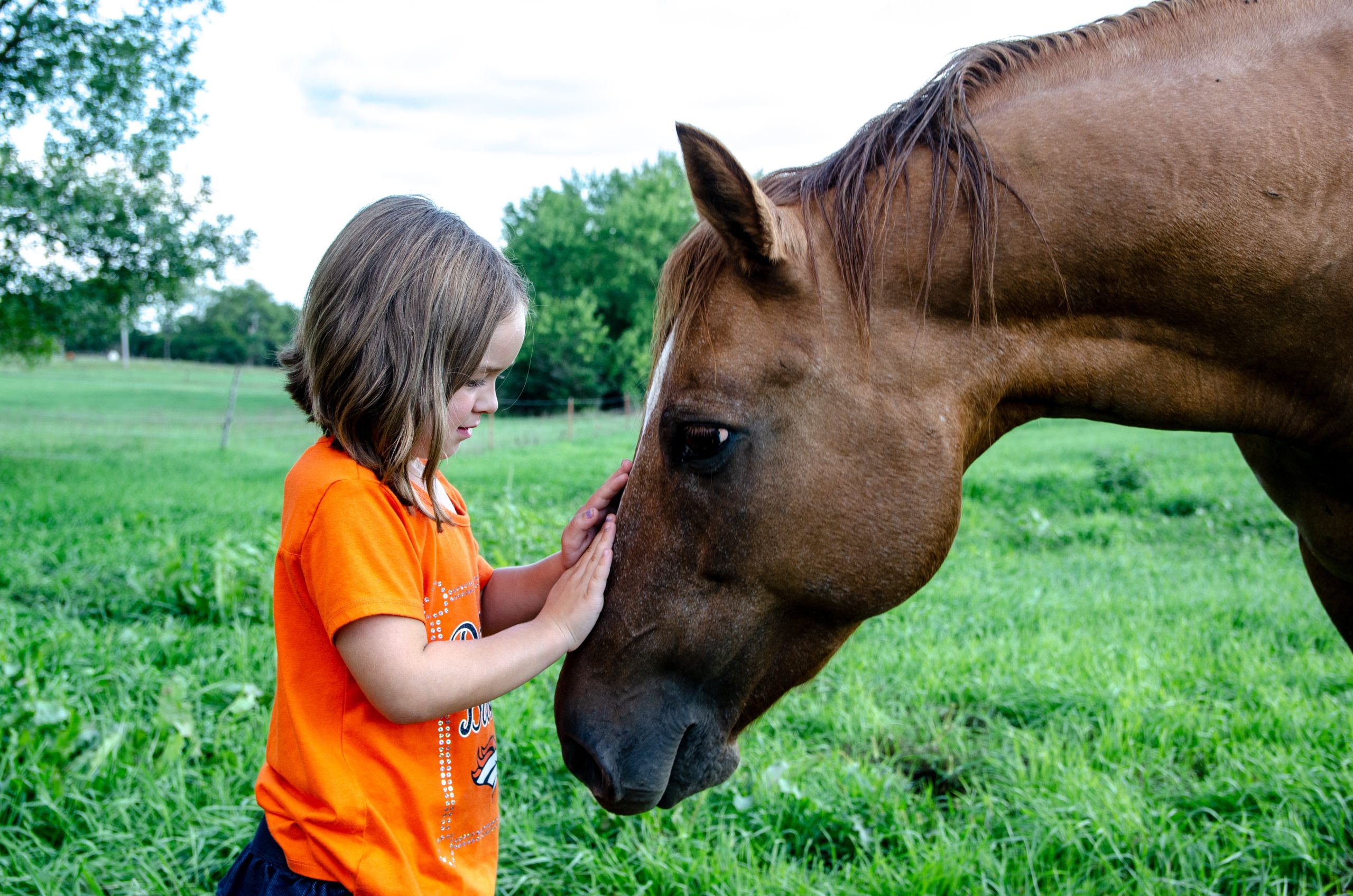 Equine Services