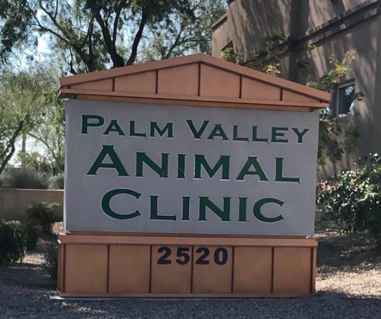 Register on our site Palm Valley Animal Clinic