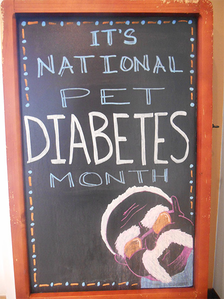 November is Pet Diabetes Month, | Veterinarians in Bellevue, KY