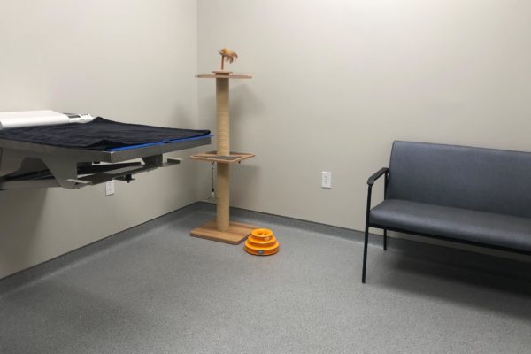 Feline Exam Room