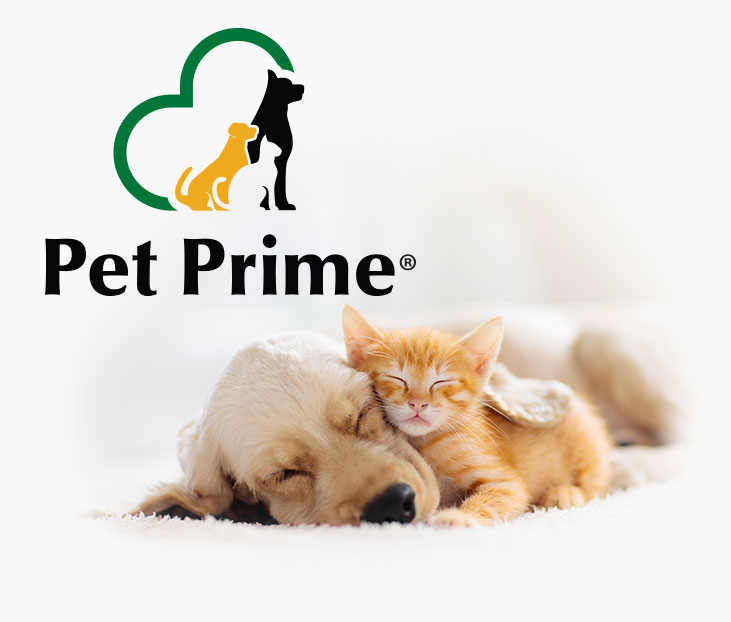 Pet Prime Puppy Dog Kitten Cat Veterinary Wellness Plans