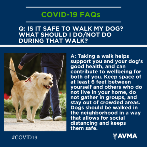 covid
