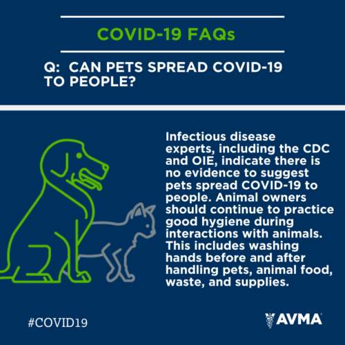 covid3