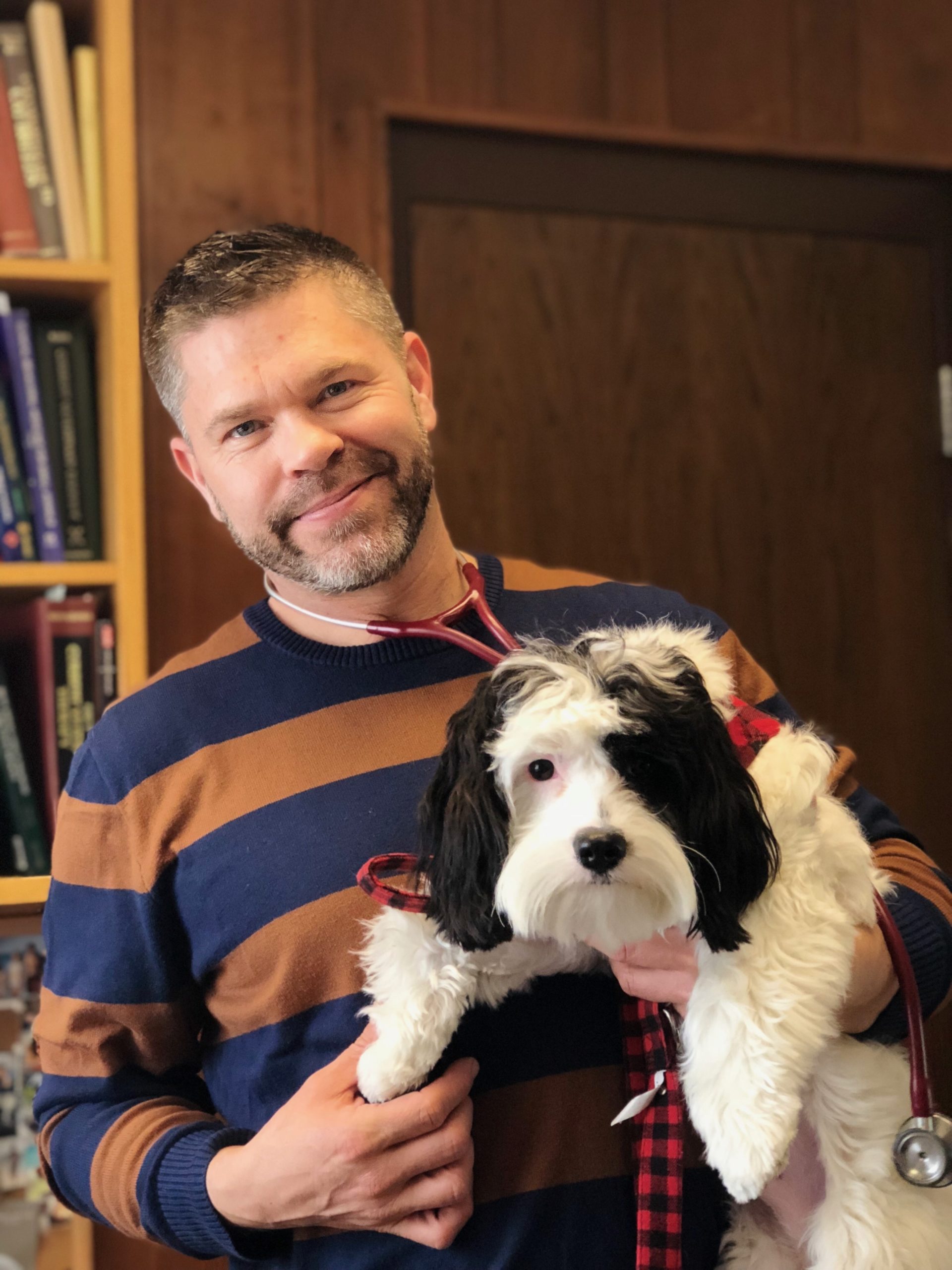 Doctor Peter Magnuson - Southdale Pet Hospital