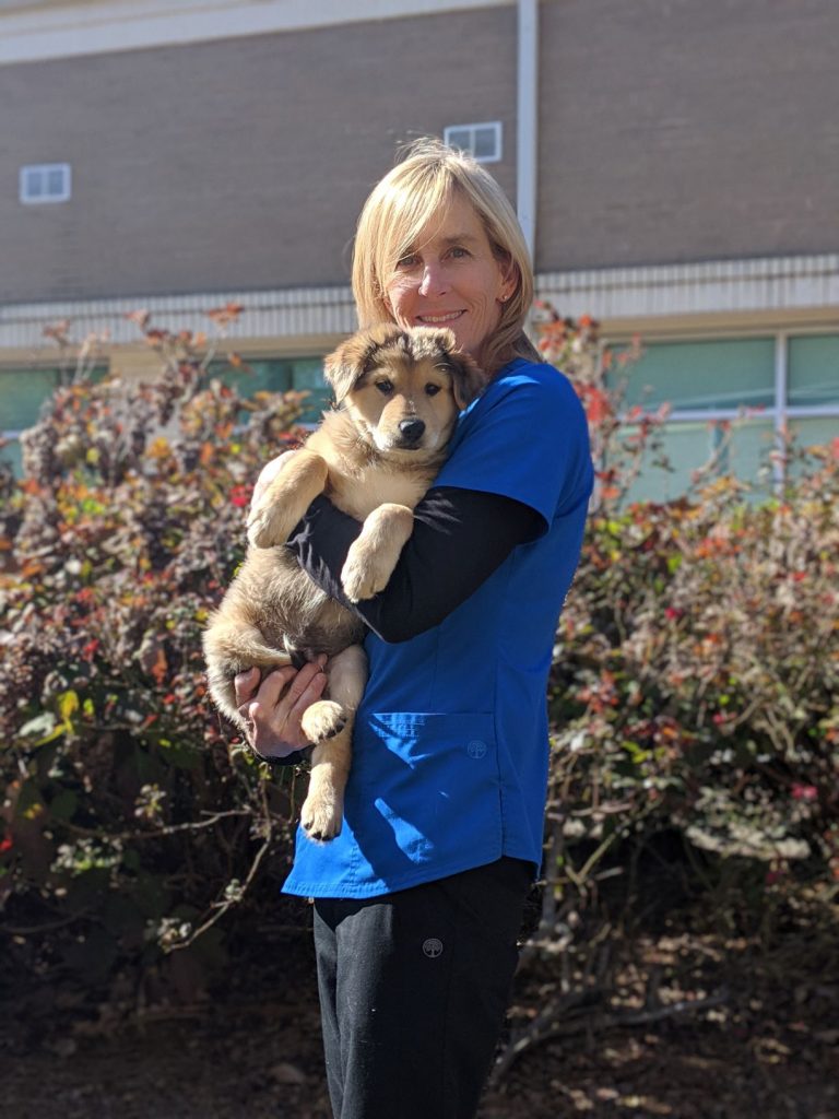 Sarah | Veterinarians Charlotte | Spay Neuter Clinic of the Carolinas