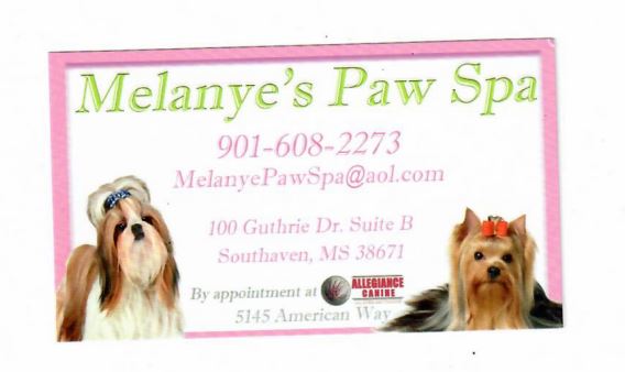 paw spa pittsburgh