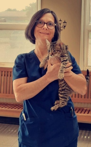 Meet Elizabeth, Lead LVT at Blue Mountain Animal Clinic