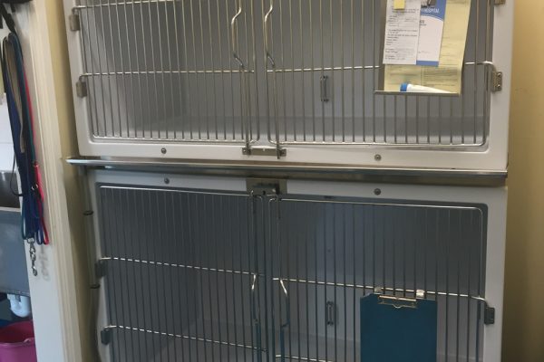 Kennel-Rooms