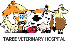 Taree Veterinary Hospital