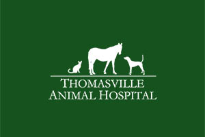 Veterinarians & Team in Thomasville, Georgia