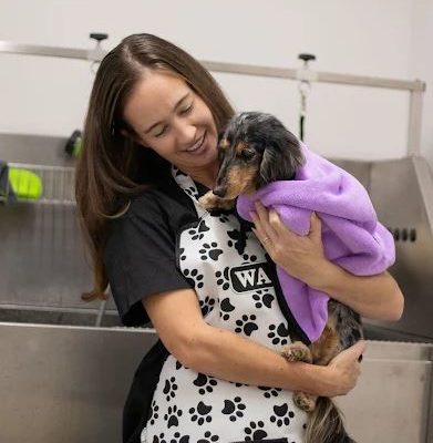 tangled-pet-grooming-richmond-dog-groomer-cat-grooming2