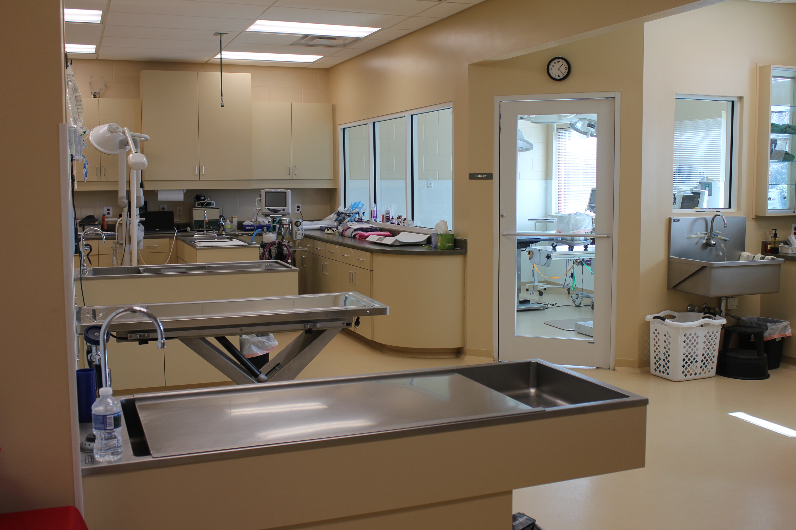 Take a Tour of our Wayne County Veterinary Hospital! Veterinarians in