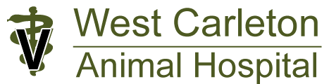 West Carleton Animal Hospital