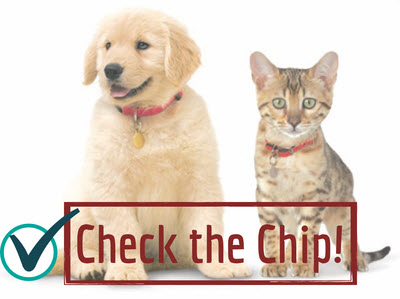 Photo of puppy and kitten with text "Check the Chip!"